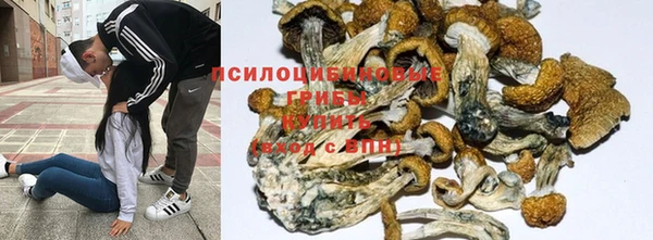 каннабис Гусь-Хрустальный